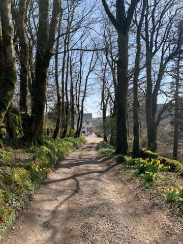 Lydgate House Hotel Postbridge Buitenkant foto